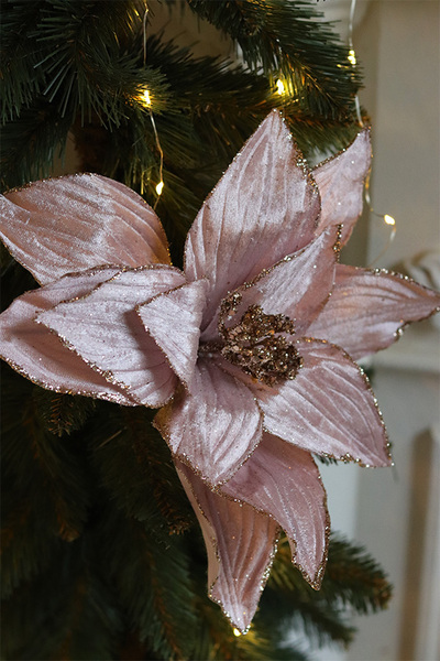 Gwiazda Betlejemska, świąteczny kwiat poinsecji z klipsem