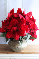 Gwiazda Betlejemska Eduardo, wysokiej jakości sztuczna roślina