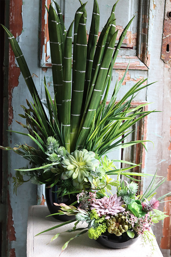 Anna Maria Black 2, kompozycja sukulenty w okrągłej donicy, wym.33x30cm