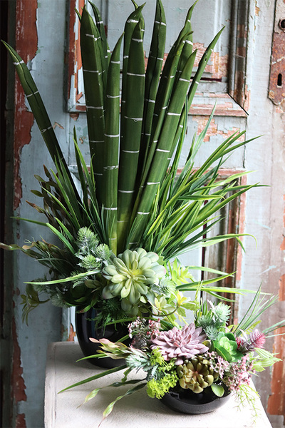 Anna Maria Black 2, kompozycja sukulenty w okrągłej donicy, wym.33x30cm