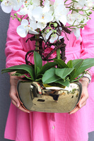 Nature&Gold 2, sztuczny storczyk w złotej donicy glamour