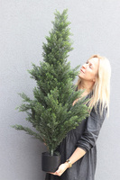 Tuja, drzewko sztuczna roślina w doniczce