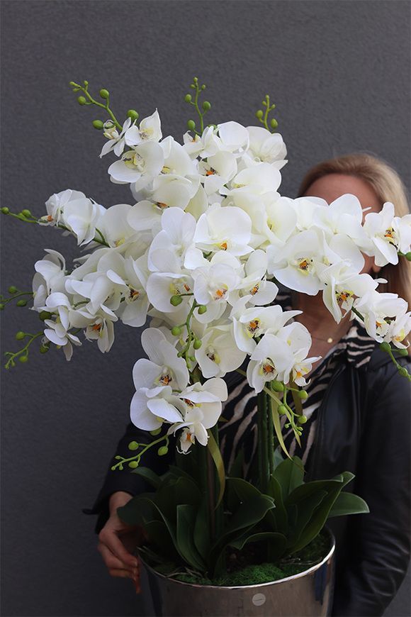 Vaselite Silver Lucky, gumowy storczyk w lustrzanej donicy