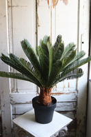 Cykas, sztuczna roślina w osłonce z tworzywa sztucznego, wys.100cm 