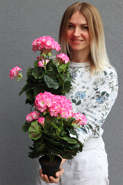 doniczkowa pelargonia Fuksja-krem, wysokiej jakości sztuczne kwiaty, wys.36cm