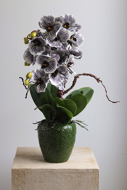 OD RĘKI Eveline Belia, fioletowy sztuczny storczyk w zielonej donicy, wys.53cm 