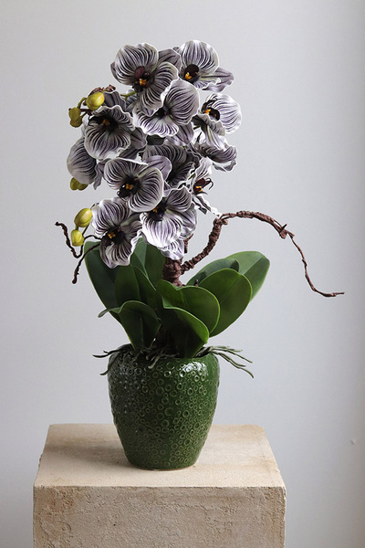 Eveline Belia, fioletowy sztuczny storczyk w zielonej donicy