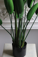 Strelicja Zielona, wysokiej jakości sztuczna roślina