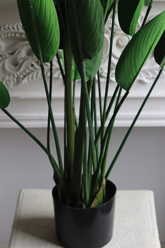 Strelicja Zielona, wysokiej jakości sztuczna roślina
