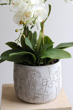 OD RĘKI Modern Meadow 2, stylowy storczyk w doniczce ze wzorem, wys.57cm 