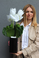 Medinilla Biel, dekoracyjny bukiet w wazoni