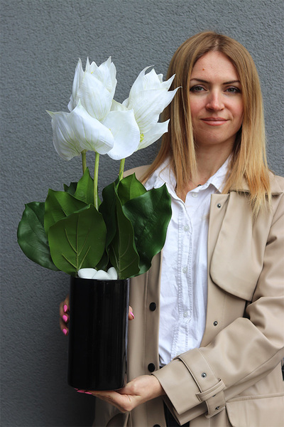 Medinilla Biel, dekoracyjny bukiet w wazoni