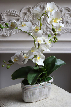 Mini Pearl 2, gumowy storczyk w porcelanowej osłonce, wys.48cm 