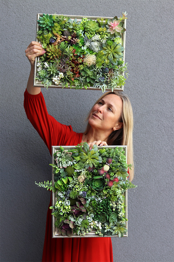 efektowna kwietna rama jednostronna, Sukulenty Ferana