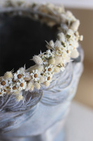 Amalteja, wianek na głowę z roślin stabilizowanych, rozmiar uniwersalny