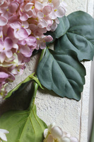 Delicate Pink, bukiet różowych hortensji