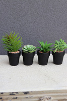 Gerrati, sztuczne rośliny w doniczkach