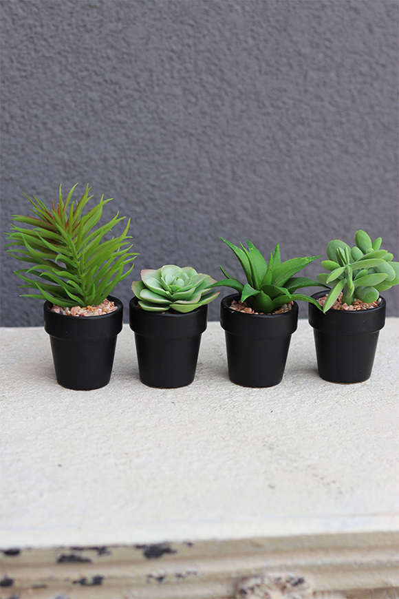 Gerrati, sztuczne rośliny w doniczkach