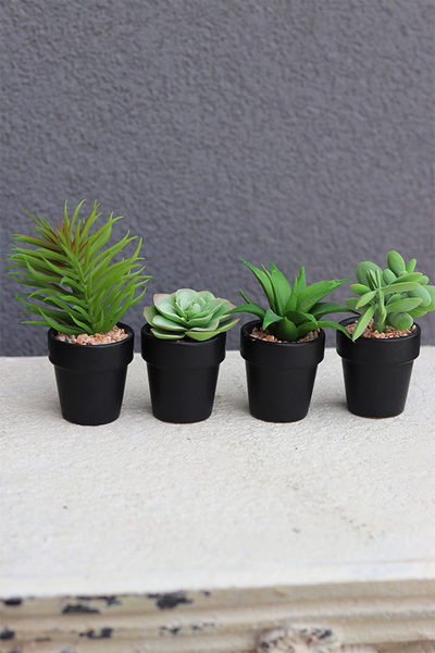 Gerrati, sztuczne rośliny w doniczkach