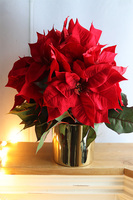 Gwiazda Betlejemska Klasyka, wysokiej jakości sztuczna roślina