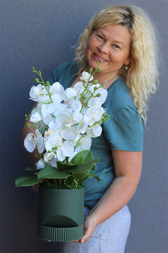 Beira Green, elegancki storczyk w zielonej donicy