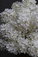 bogaty kosz z hortensjami, Giganti White Provance