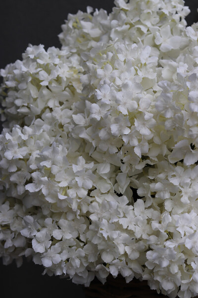 bogaty kosz z hortensjami, Giganti White Provance