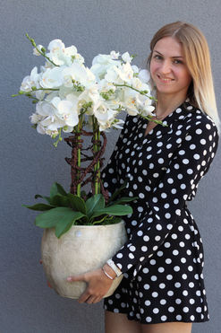 Cremina, sztuczny storczyk w ozdobnej donicy, wys.81cm