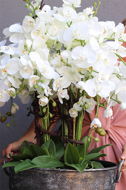 Grigio Grande 2, sztuczny storczyk w metalowej donicy, wys.120cm