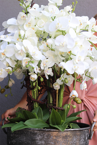 Grigio Grande 2, sztuczny storczyk w szarej donicy