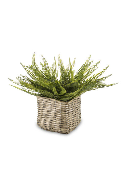 Paprotka, sztuczna roślina w ozdobnej osłonce, wym.45x63x63cm
