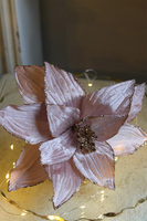 Gwiazda Betlejemska, świąteczny kwiat poinsecji z klipsem