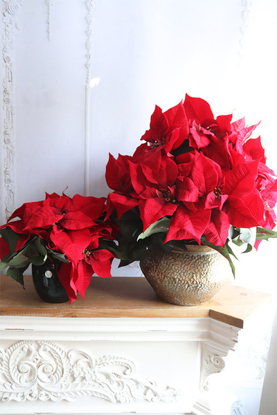 Gwiazda Betlejemska Eduardo, wysokiej jakości sztuczna roślina