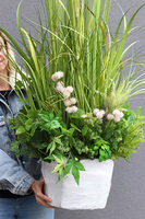 Zielona Garea, dekoracja z trawami do twojej donicy