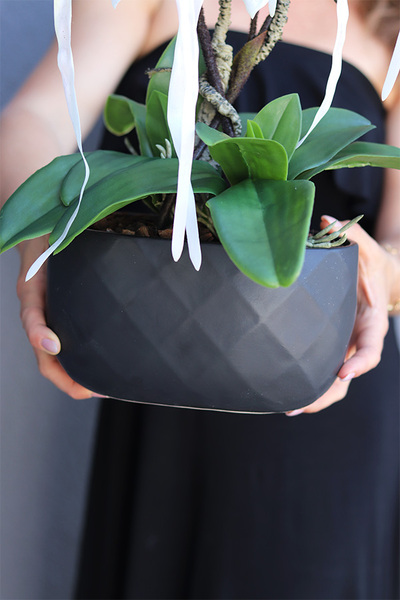 Black Design Moneti, egzotyczny storczyk w czarnej donicy, wys.56cm