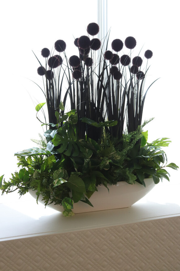 Black Grass Laos, zielona kompozycja w naczyniu