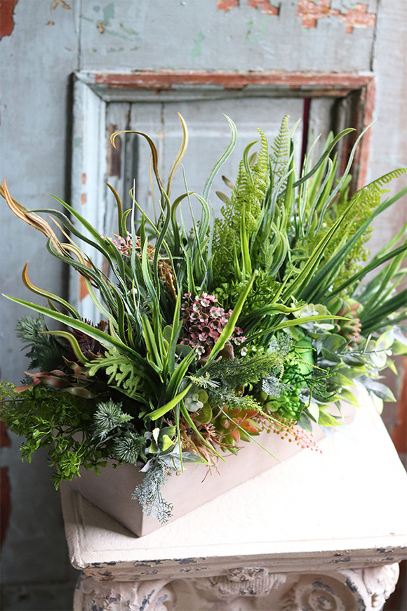 Sukulenty Tavina 2 w betonowej donicy, wys.30cm