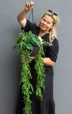 Lonera Grenoble, kompozycja zielona w wiszącej donicy, wys.99cm
