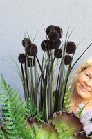 Black Derina, kompozycja z trawami w pucharze