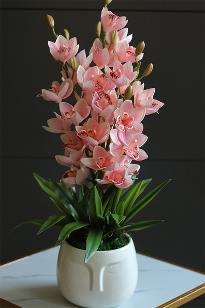 Cymbydium Natural Pink, gumowy storczyk w doniczce z twarzą