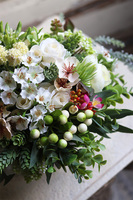 Medusa Sakramento, kompozycja w białym naczyniu, wym.25x37cm