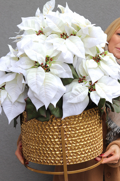 Gwiazda Betlejemska Palace, sztuczna roślina w donicy