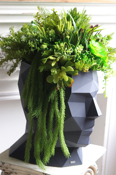 Adonis Head, nowoczesna dekoracja zielona w głowie