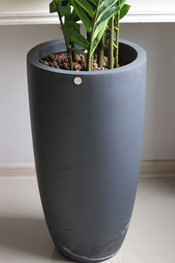 Zamiokulkas Concrete, sztuczne drzewko w betonowej donicy, wys.125cm