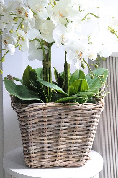 Rattania Provance A, sztuczny storczyk w wiklinowym koszu