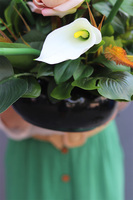 Cappuccino Kalie, kompozycja nagrobna w misie