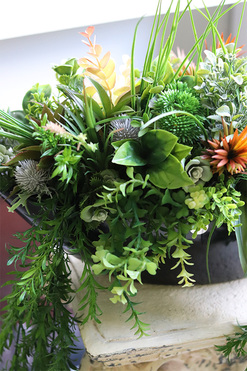 Green Terrance Laos, kompozycja sukulenty w czarnej donicy, wym.35x60cm 
