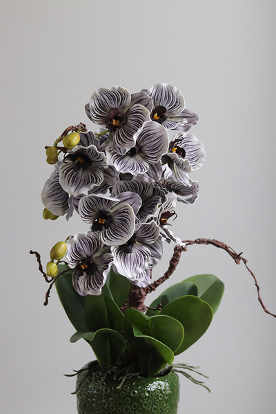 Eveline Belia, fioletowy sztuczny storczyk w zielonej donicy