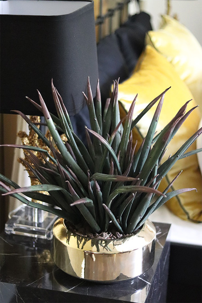 Krefia, zielona kompozycja w złotej donicy, wys.48cm