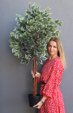 OD RĘKI Fikus Benjamin Calico, sztuczna roślina w doniczce, wys.130cm